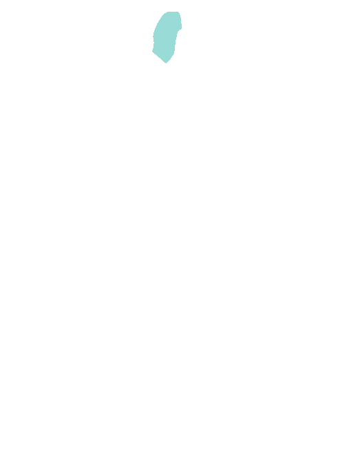 Olfactory bulb
