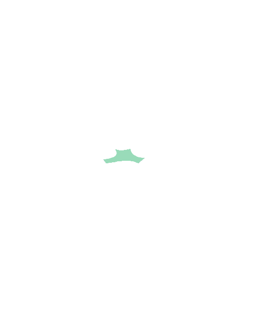 Optic chiasm