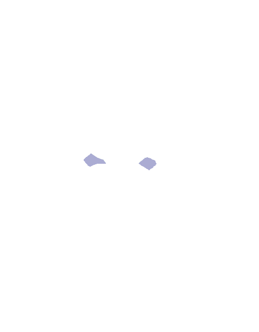 Optic tracts