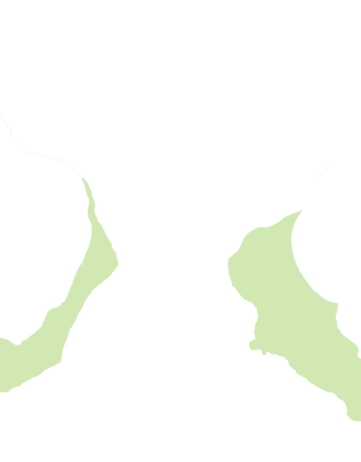 Parahippocampal gyri