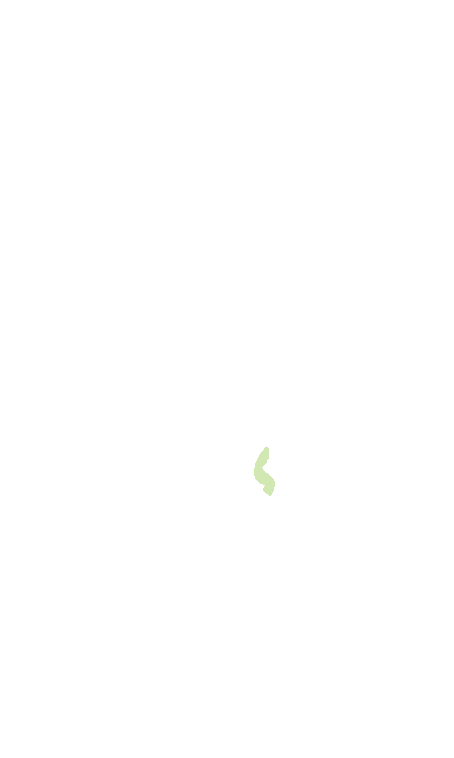 Abducens