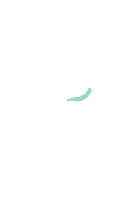 Oculomotor
