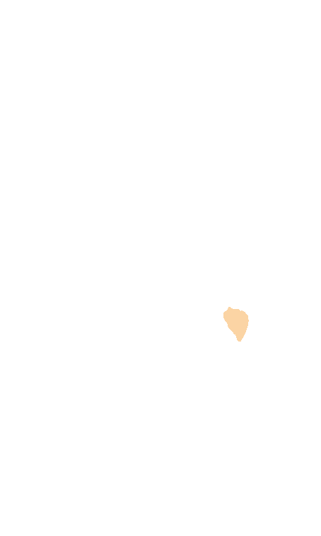 Trigeminal