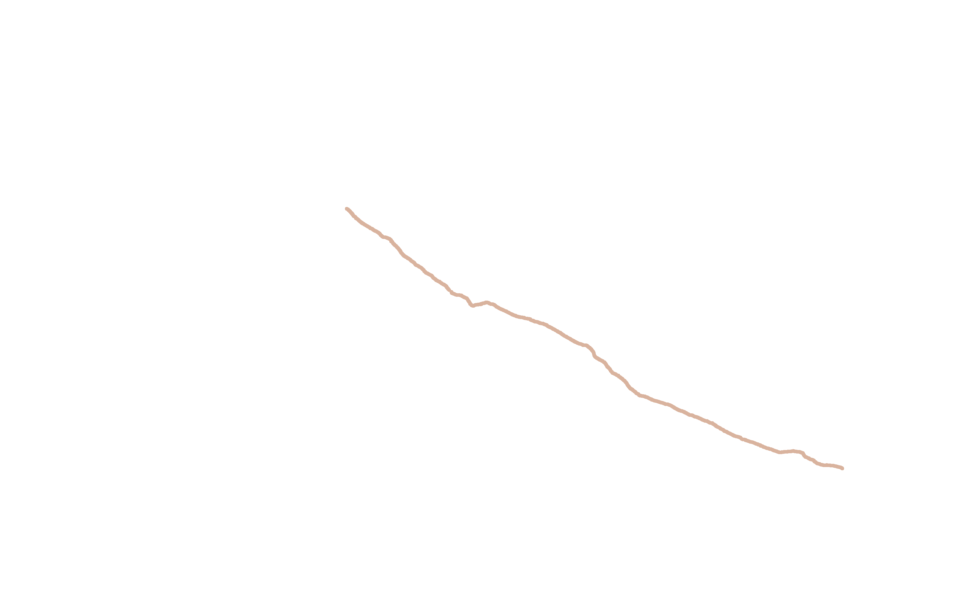 Groove for nasopalatine nerve and vessels