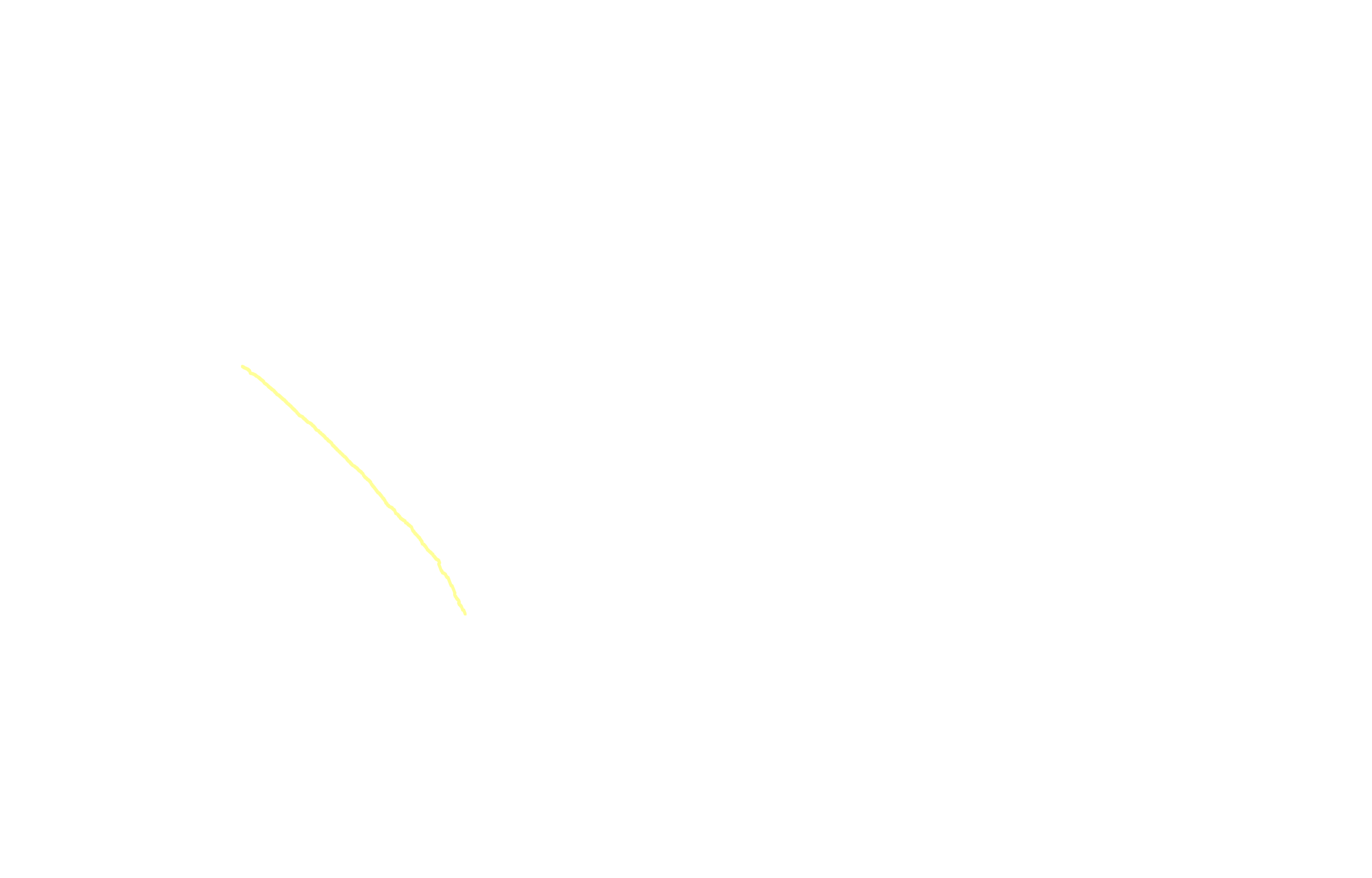 Posterior border