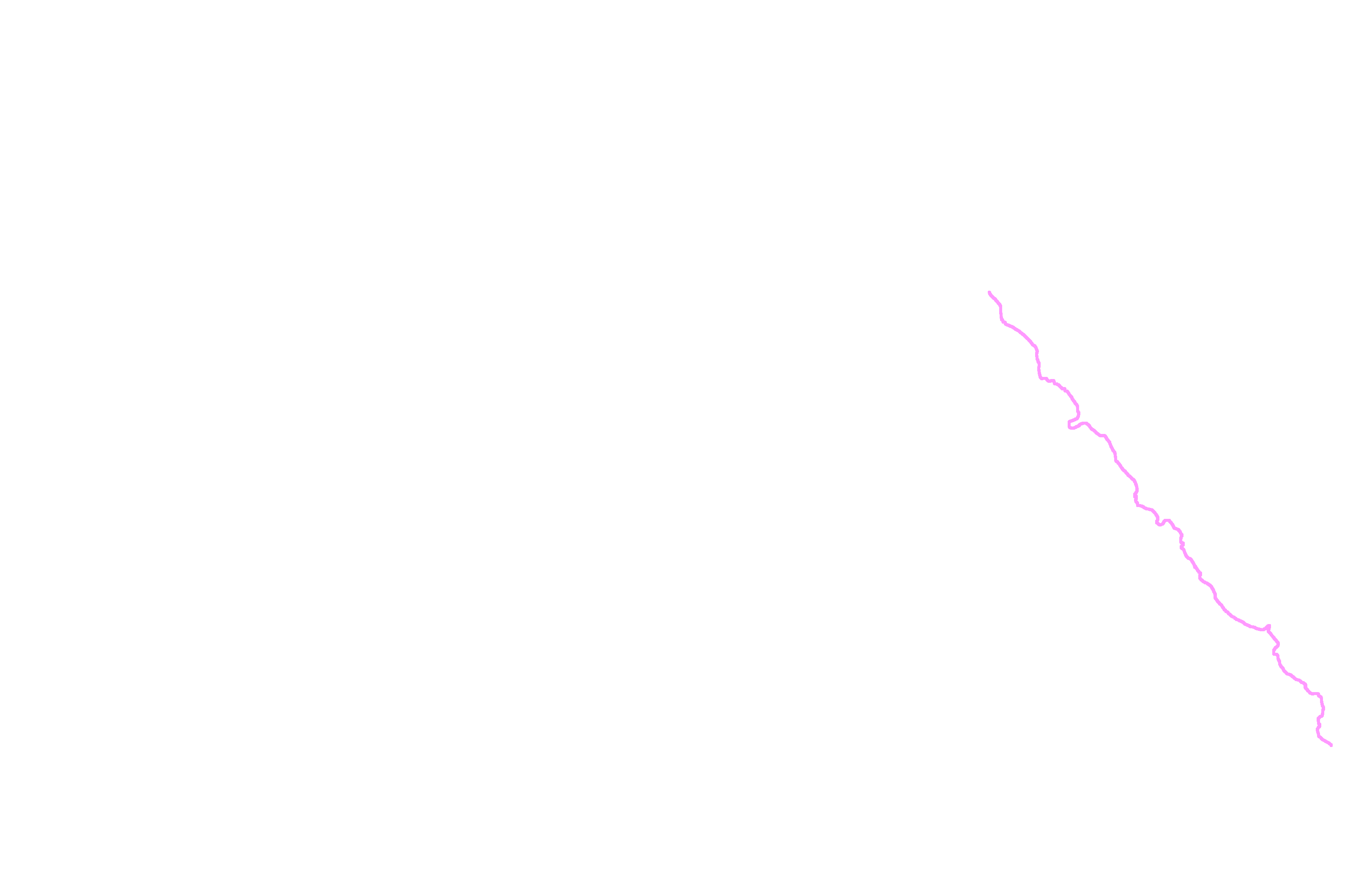 Septal cartilage margin