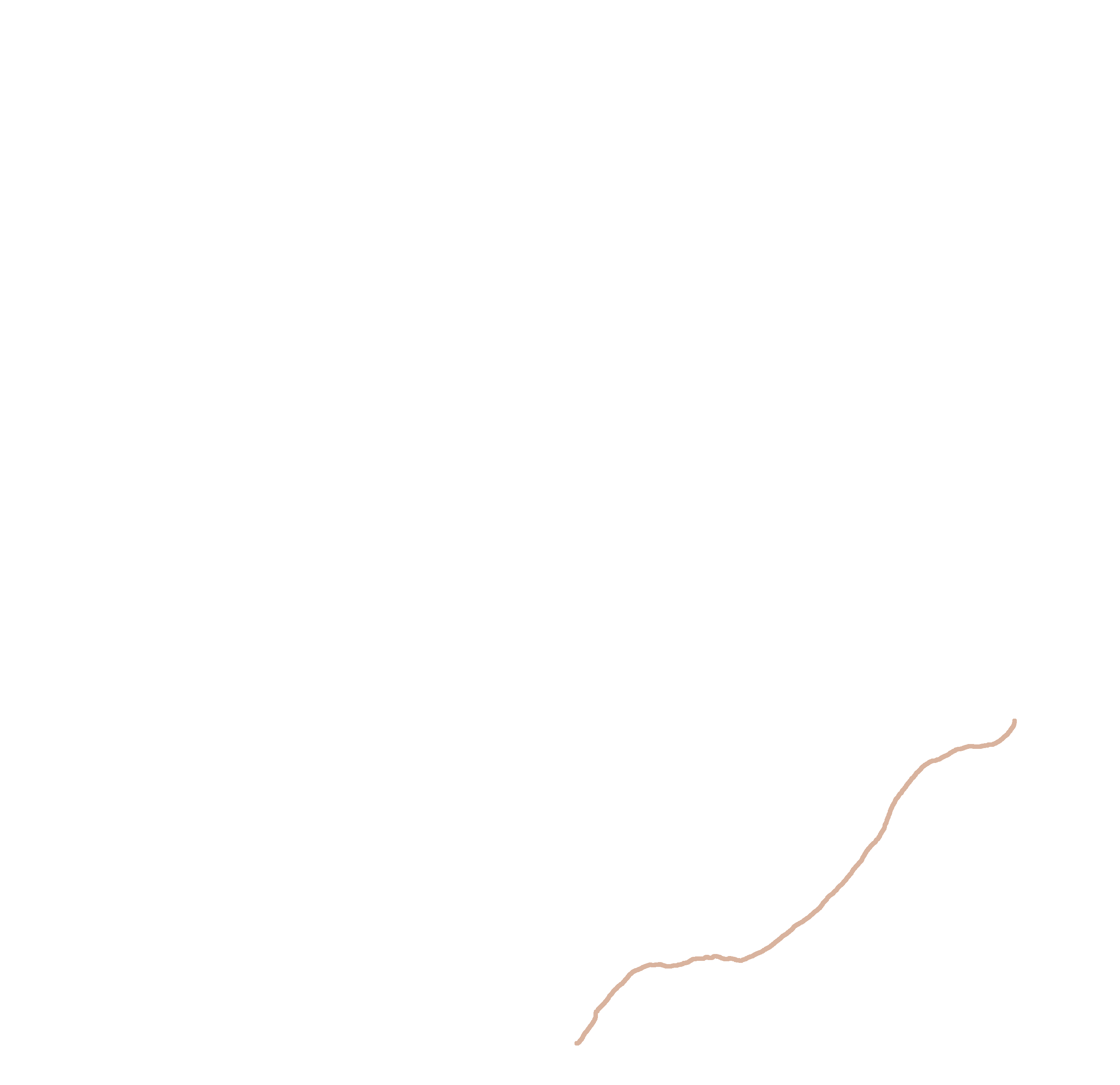 Inferior border