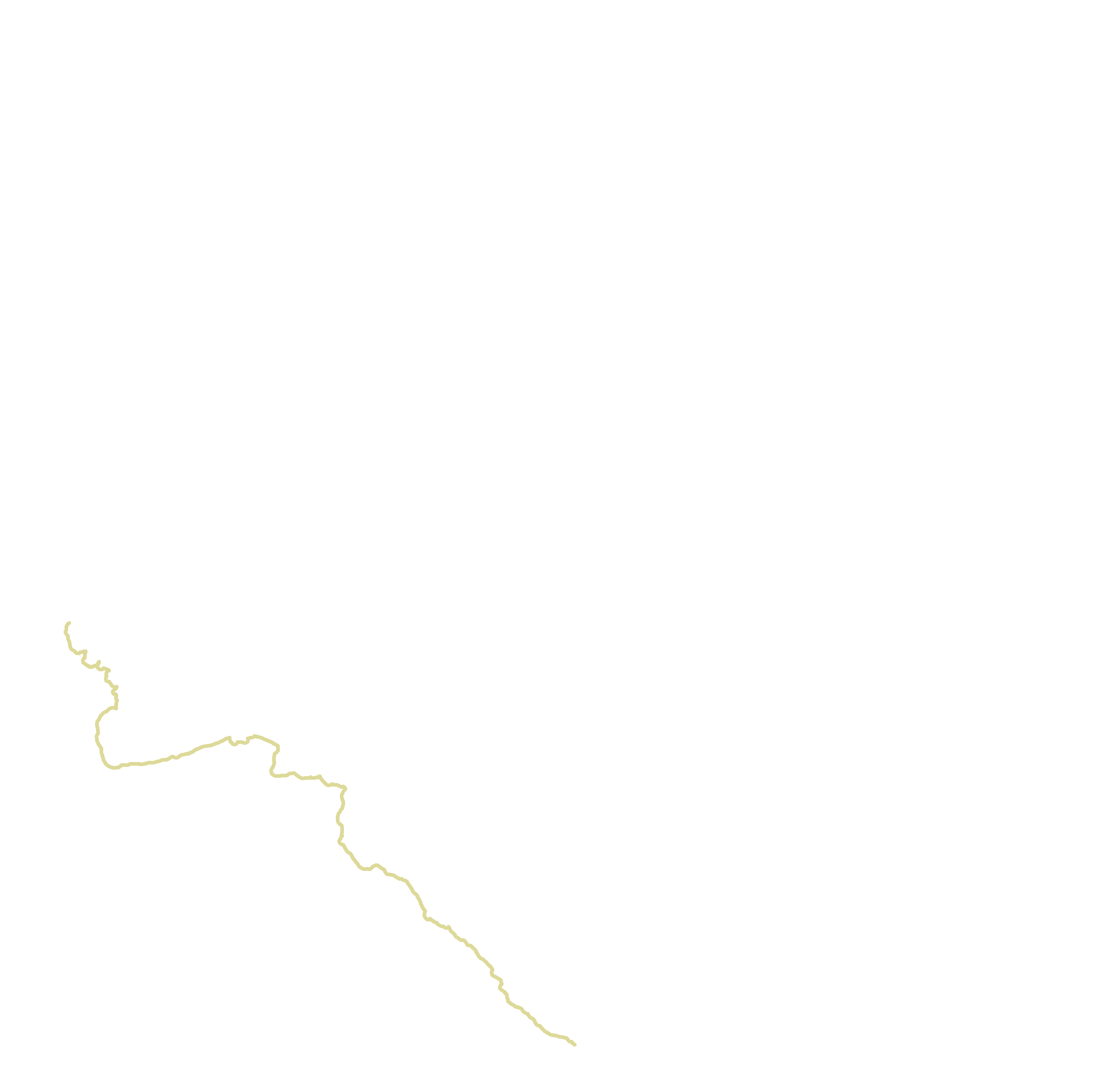 Maxillary border
