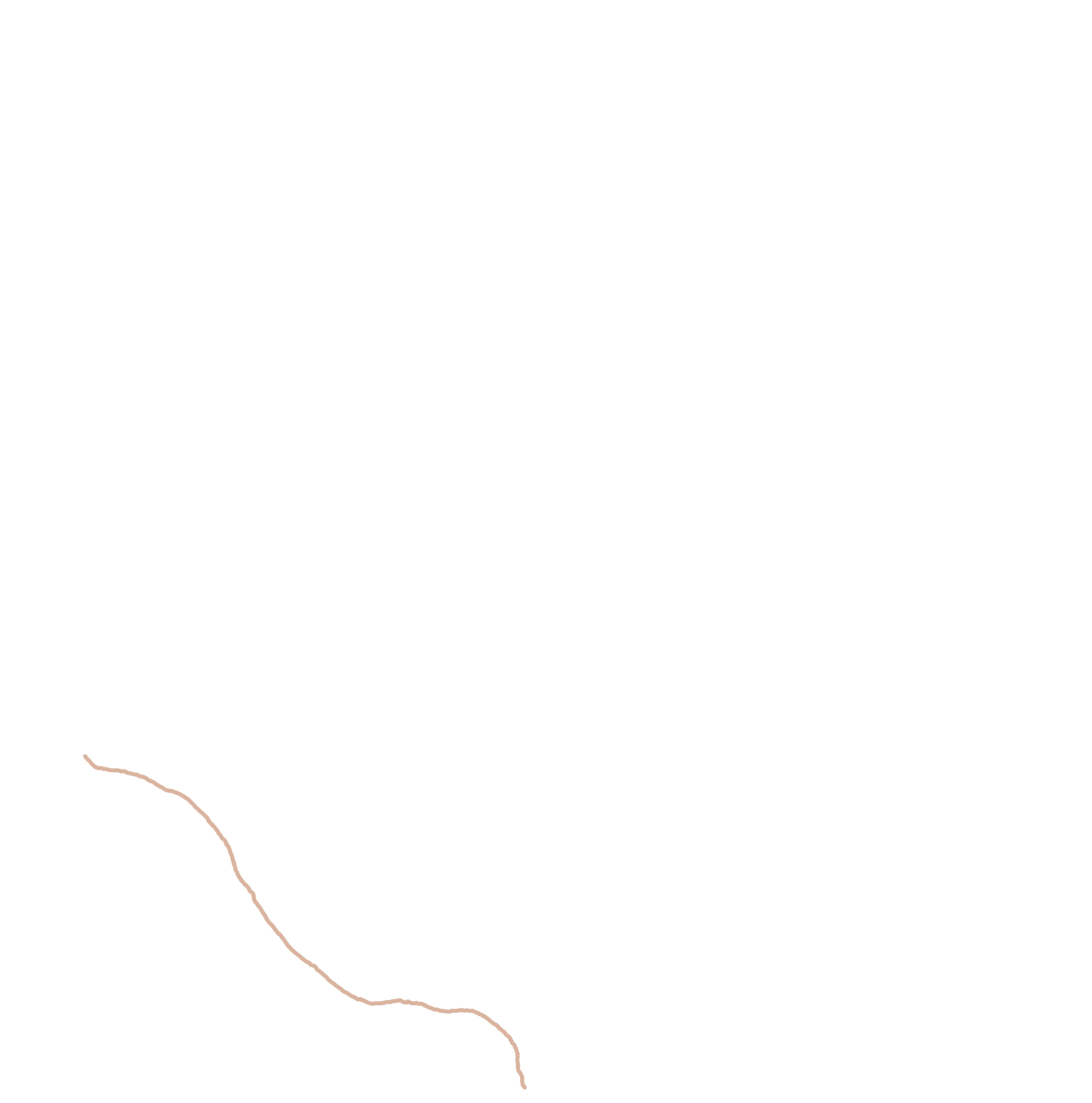 Inferior border