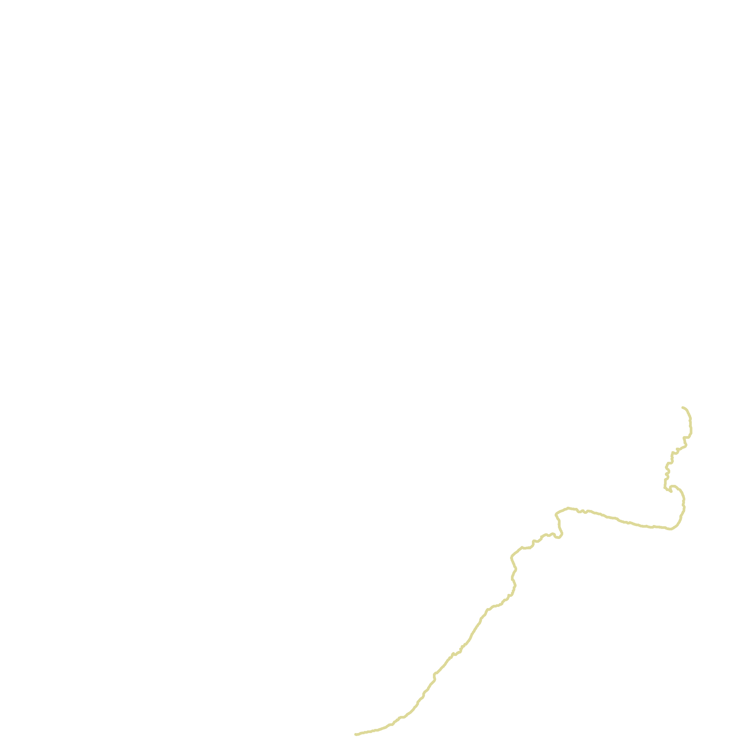 Maxillary border