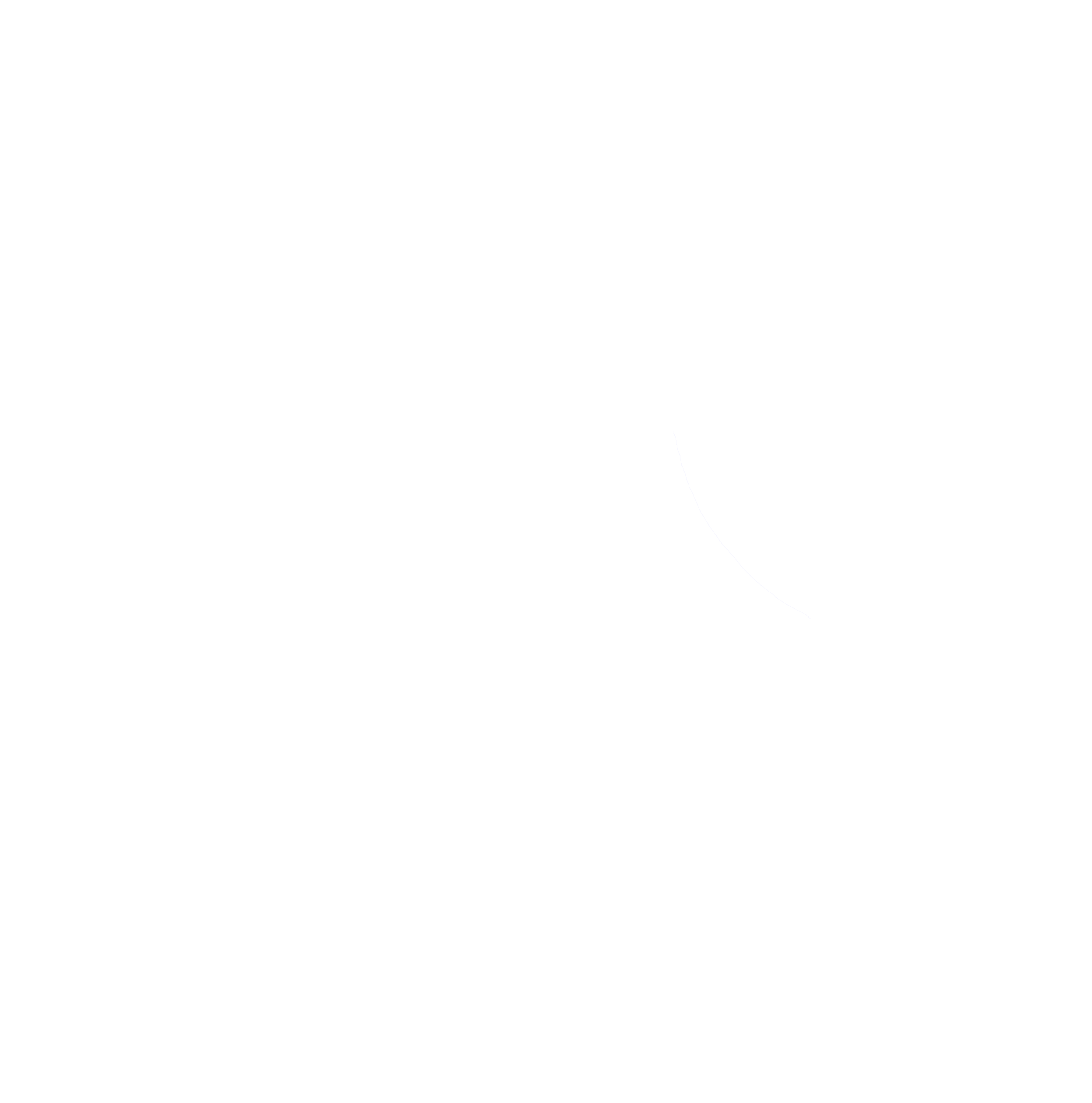 Orbital border