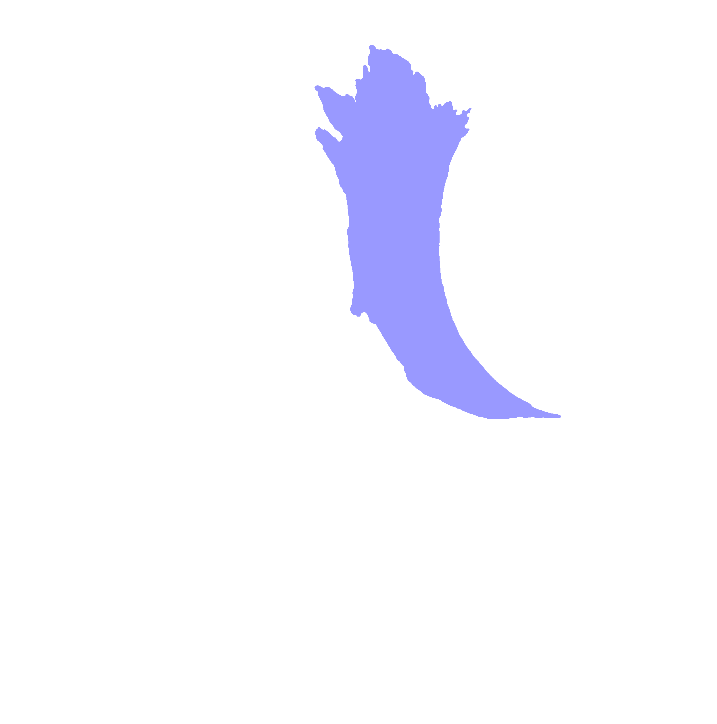 Orbital surface