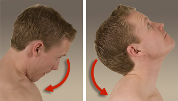 Head and Neck Movements