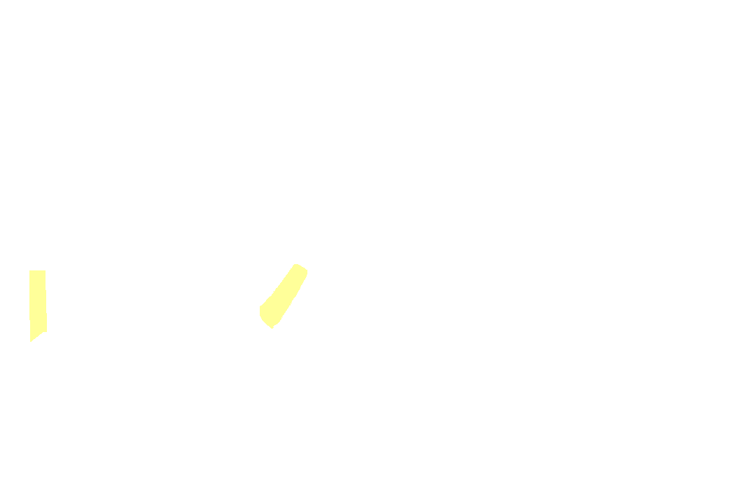 External nasal nerve