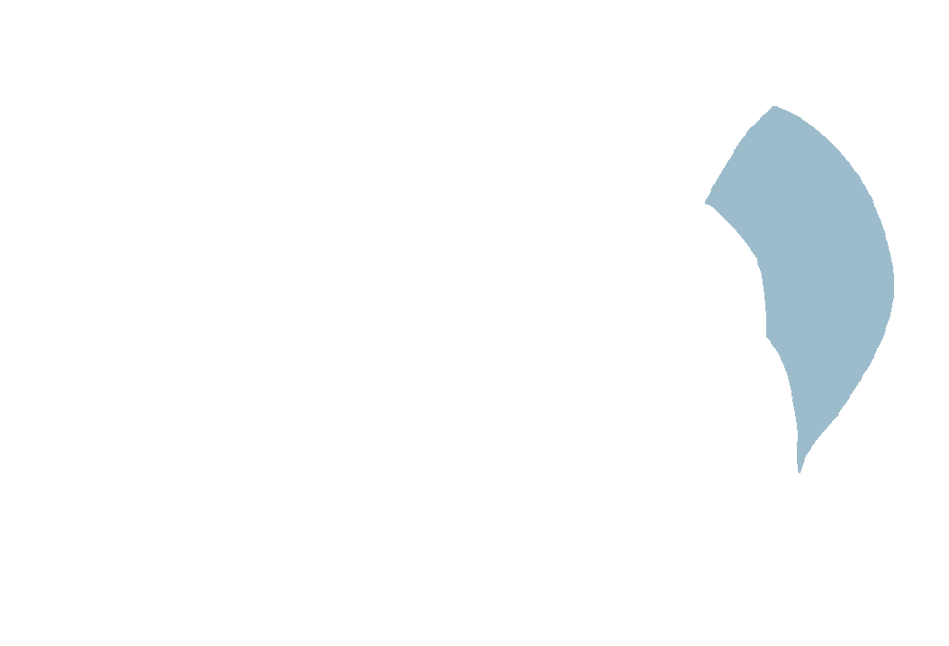 Greater occipital nerve