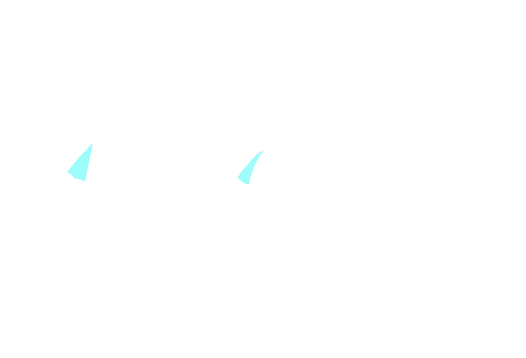 Lacrimal nerve