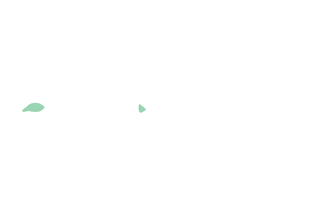 Nasociliary nerve