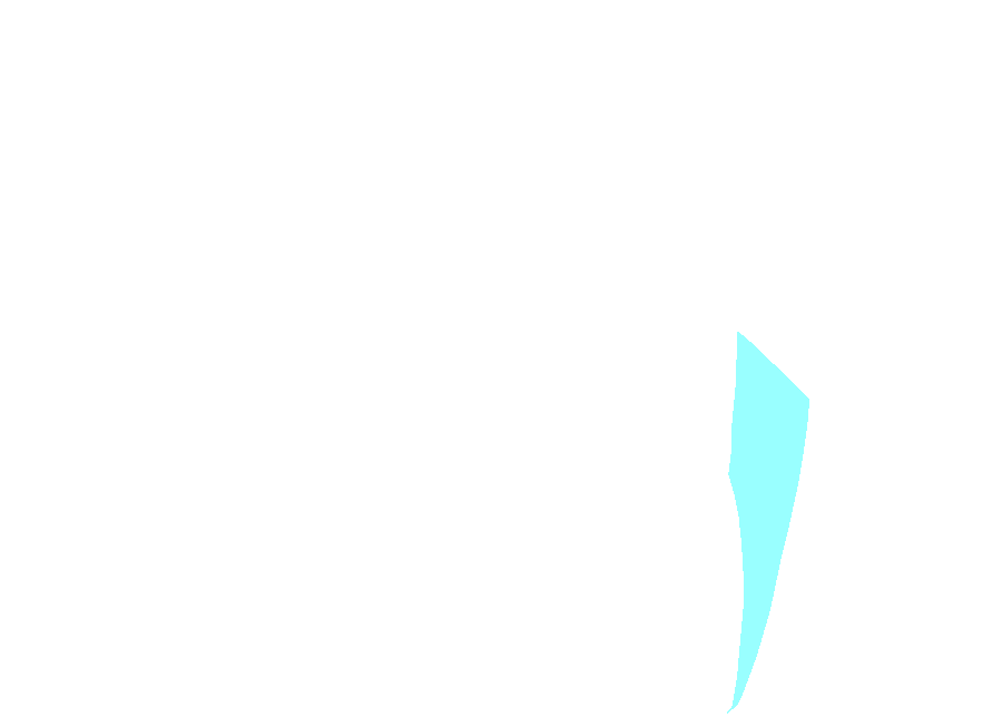Dorsal ramus of C4 spinal nerve