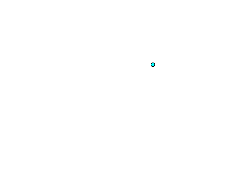 Cilia (eyelashes)