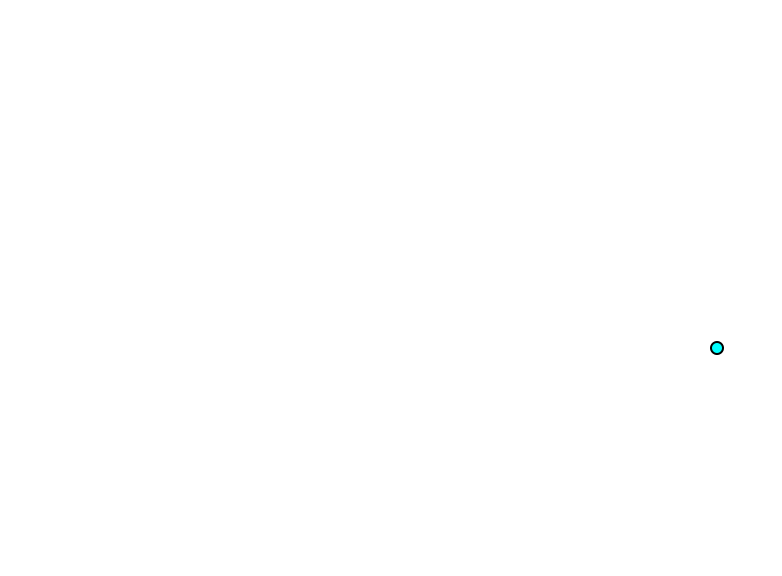 Medial palpebral commissure