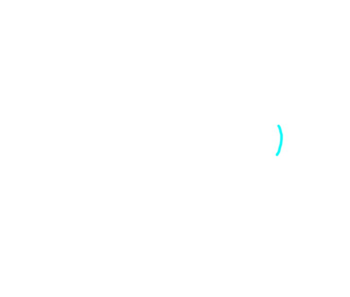 Labial commissure