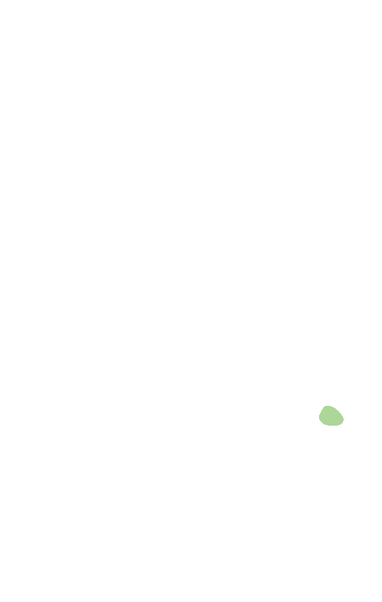 Adductor Tubercle