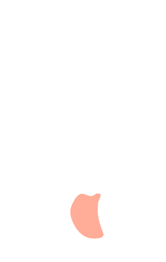 Intercondylar Fossa