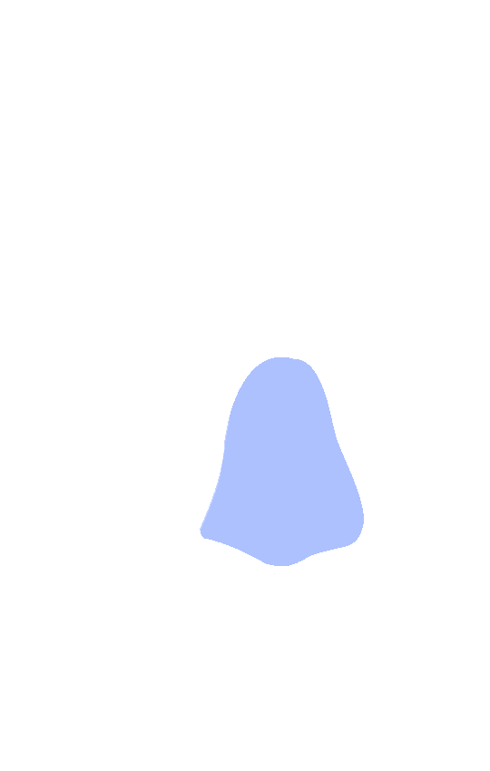 Popliteal Surface