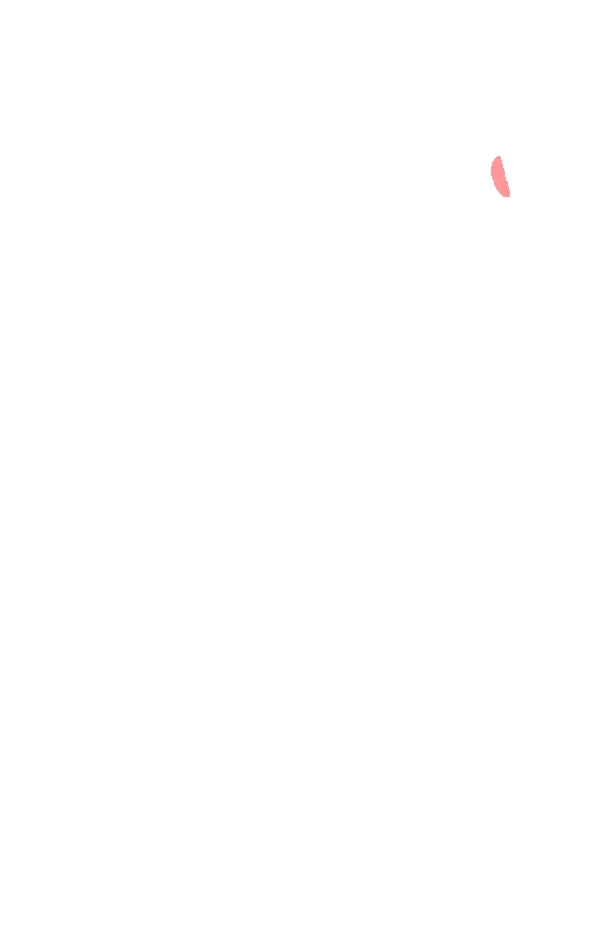 Fovea