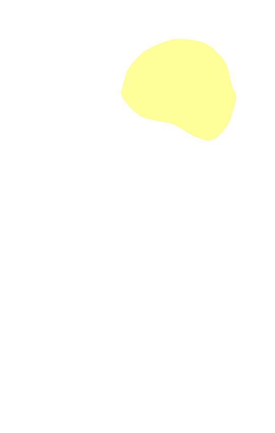 Head