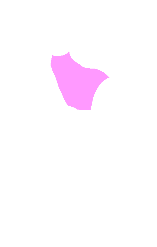 Neck