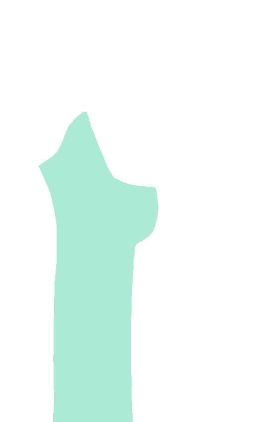 Shaft