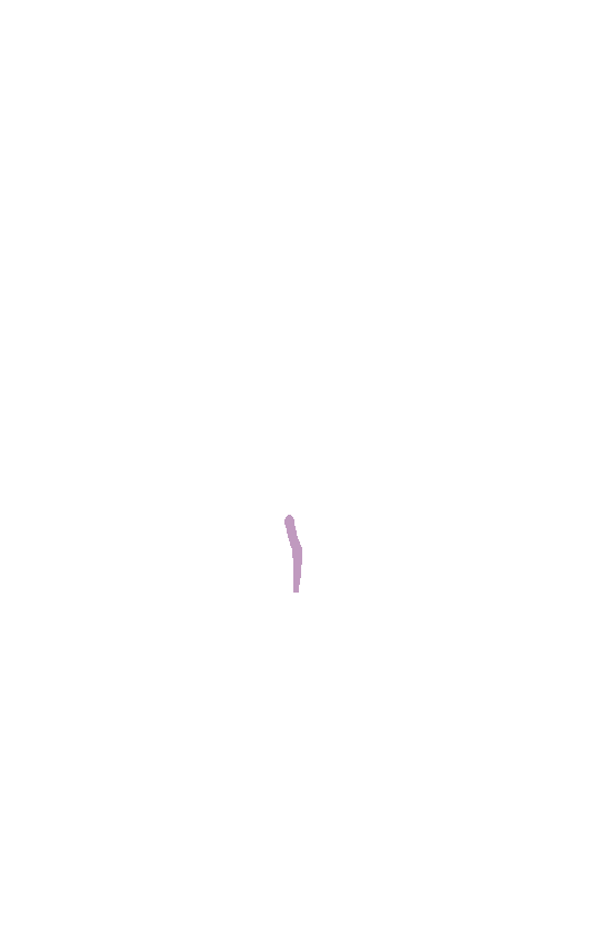Spiral Line