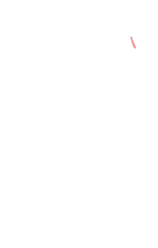 Fovea