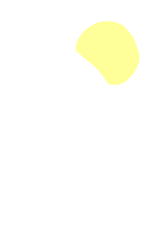 Head