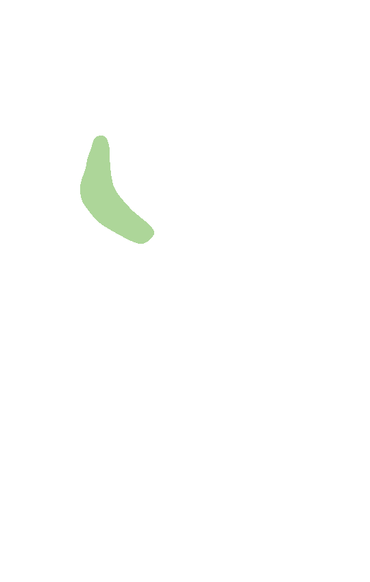 Intertrochanteric Crest