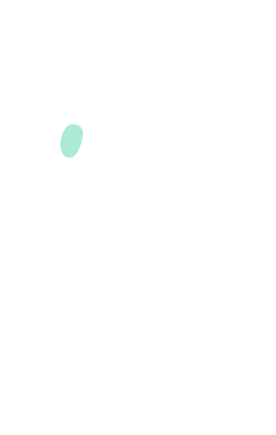 Quadrate Tubercle