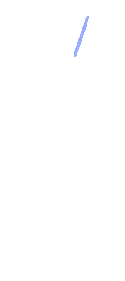 Pectineal Line