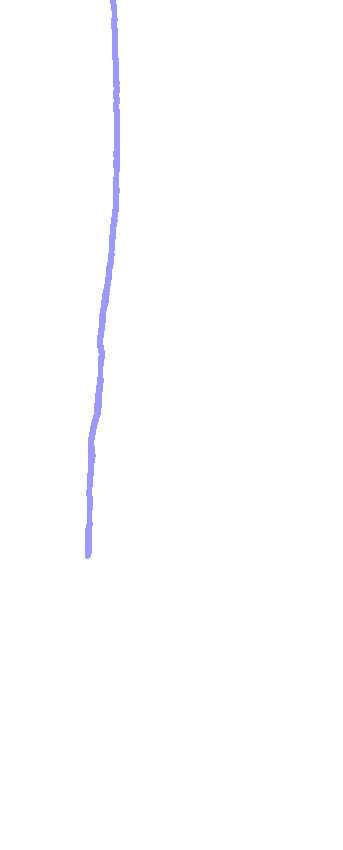 Anterior Border