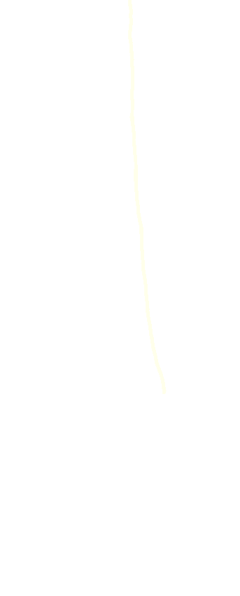 Posterior Border