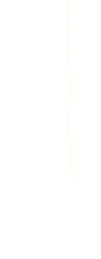 Interosseous Border