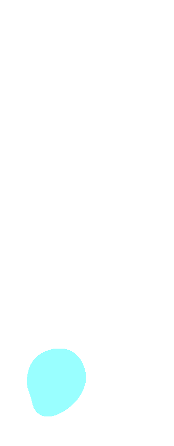 Malleolar Fossa