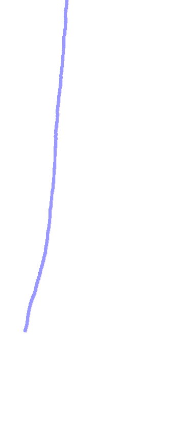 Posterior Border