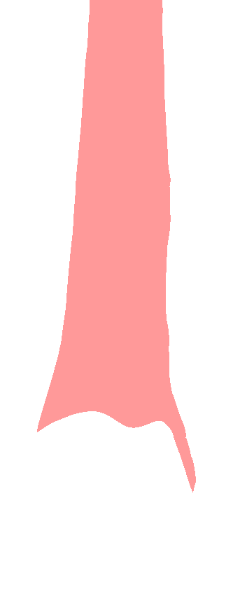 Shaft