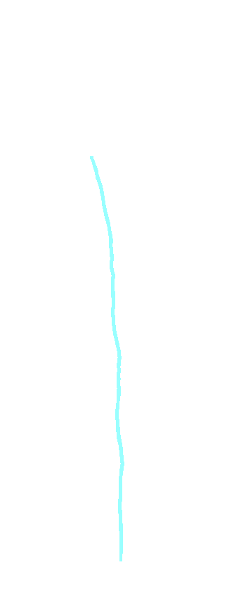 Anterior Border