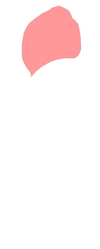 Head