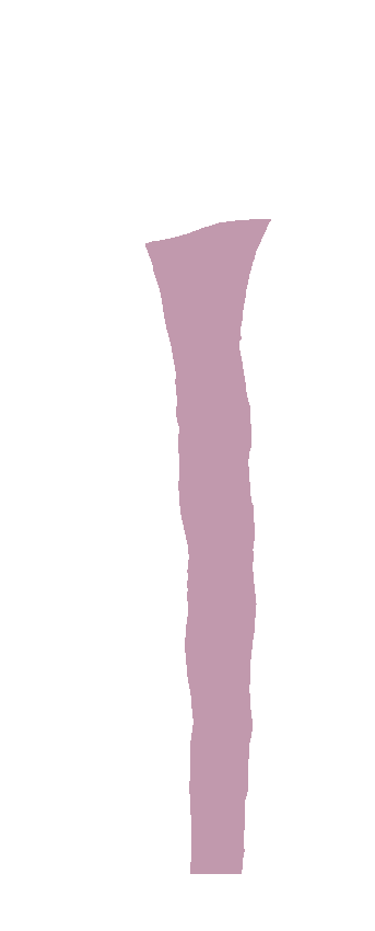 Lateral Surface