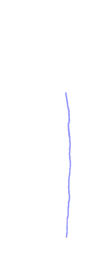 Posterior Border