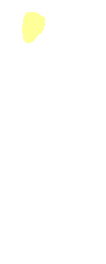 Apex
