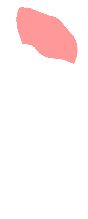 Head